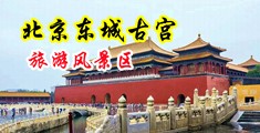 小孕妇嫩穴中国北京-东城古宫旅游风景区